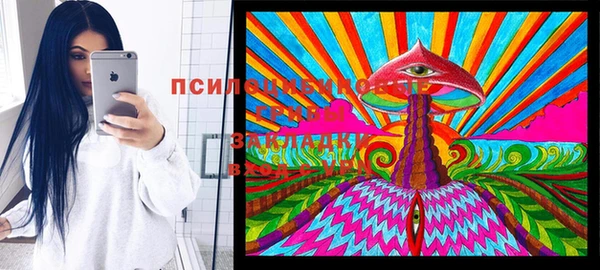 дживик Нязепетровск